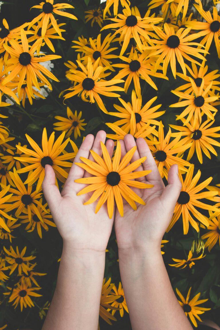 Home Close-up of hands holding vibrant yellow daisies, showcasing natural beauty and floral pattern.